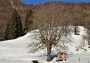 Sulle nevi del Monte Zucco (1232 m ) da S. Antonio Abbandonato (987 m) sui sent. 505-506 il 14 gennaio 2021 - FOTOGALLERY